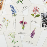 'Pick a Flower': A Memory Game - Winter's Moon 