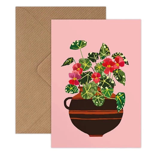 Illustrated begonia plant, in a brown and black clay vase on a pink background. Shown with the corresponding kraft brown envelope.