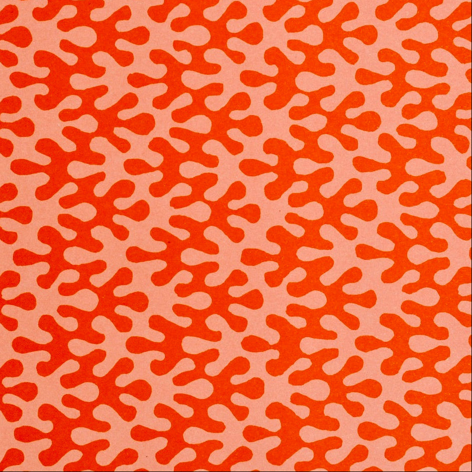 Close-up of orange and pale pink kelp print wrapping paper