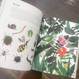 'Cut Paper Pictures' Book - Winter's Moon 