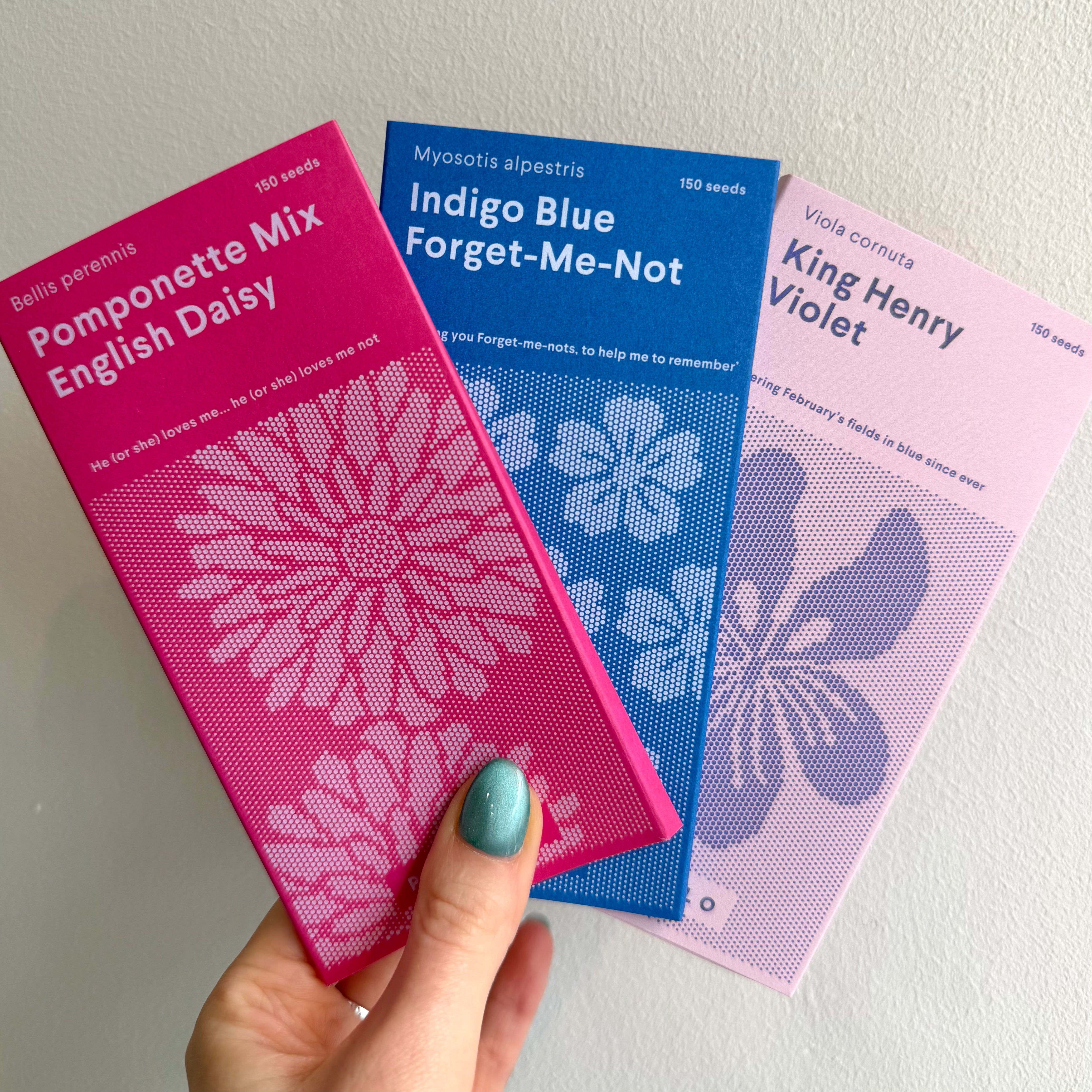piccolo seeds - sweet love flowers collection packets, pomponette, forget me-not, violet - winter's moon