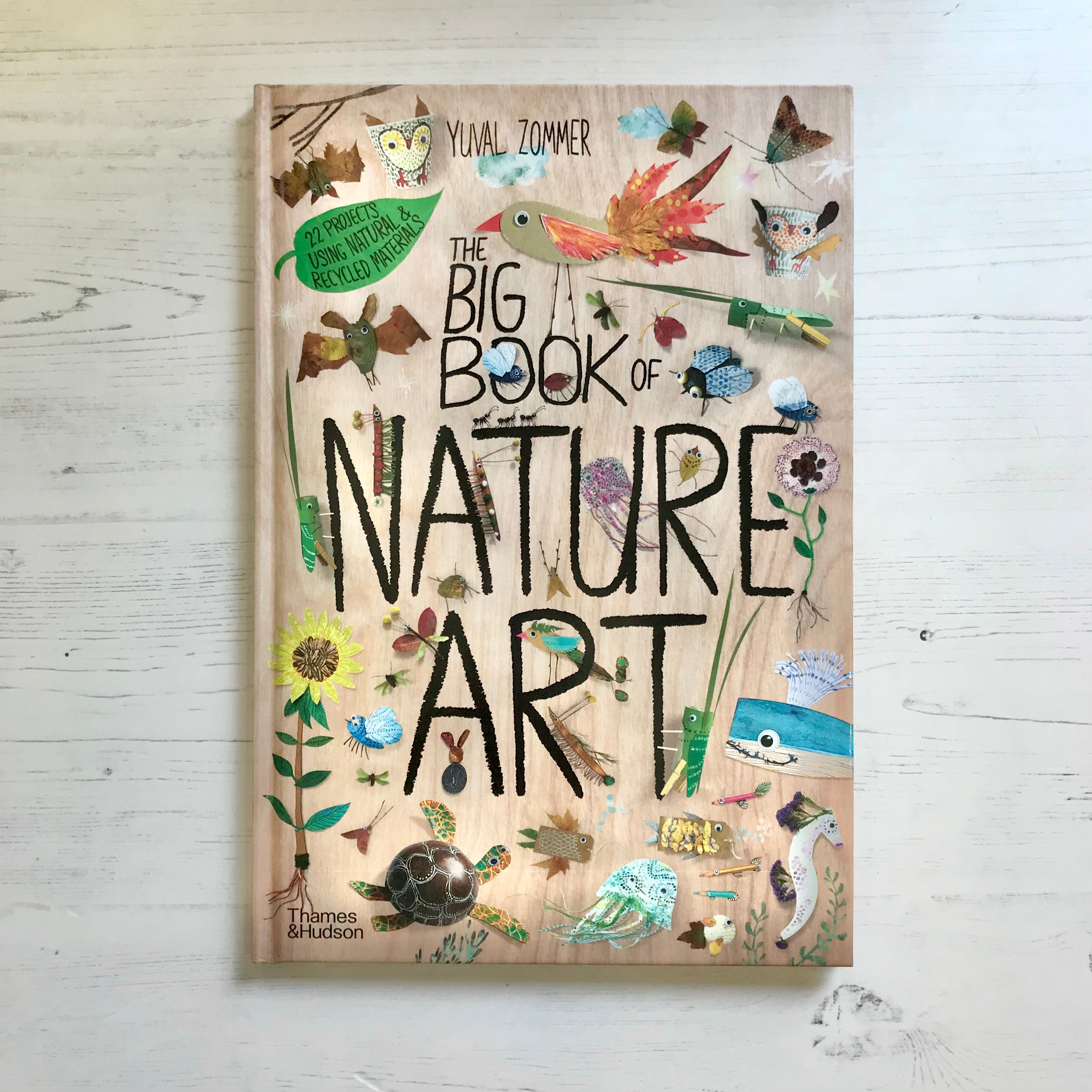 Thames & Hudson USA - Book - The Big Book of Nature Art