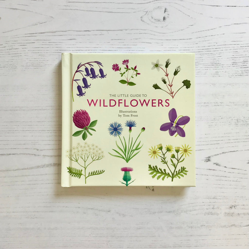 'A Little Guide To: Wildflowers' Book