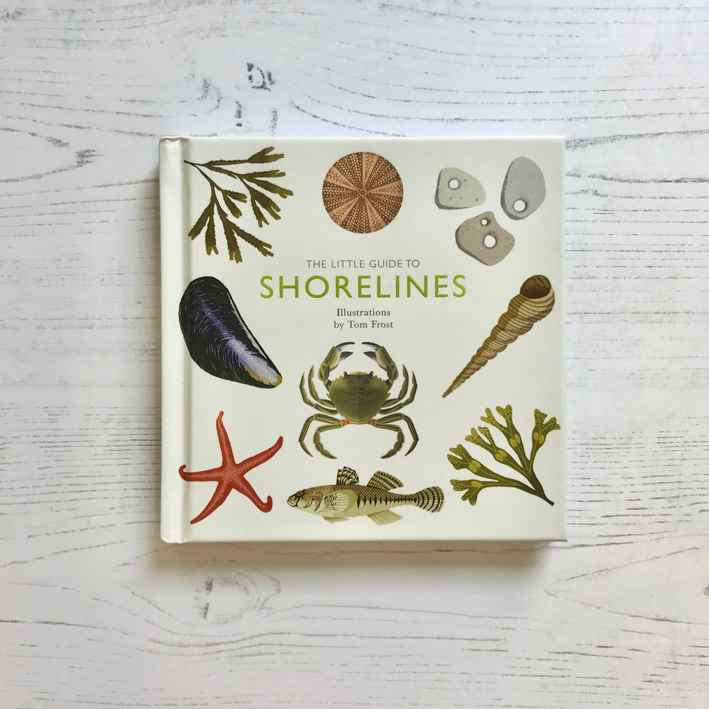 'A Little Guide To: Shorelines' Book