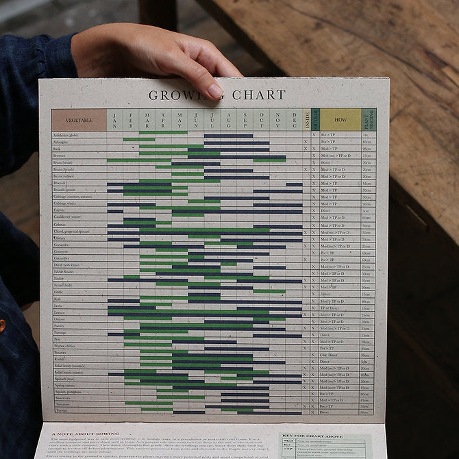 Person holding a 'GROWING CHART' poster with a wooden surface in the background