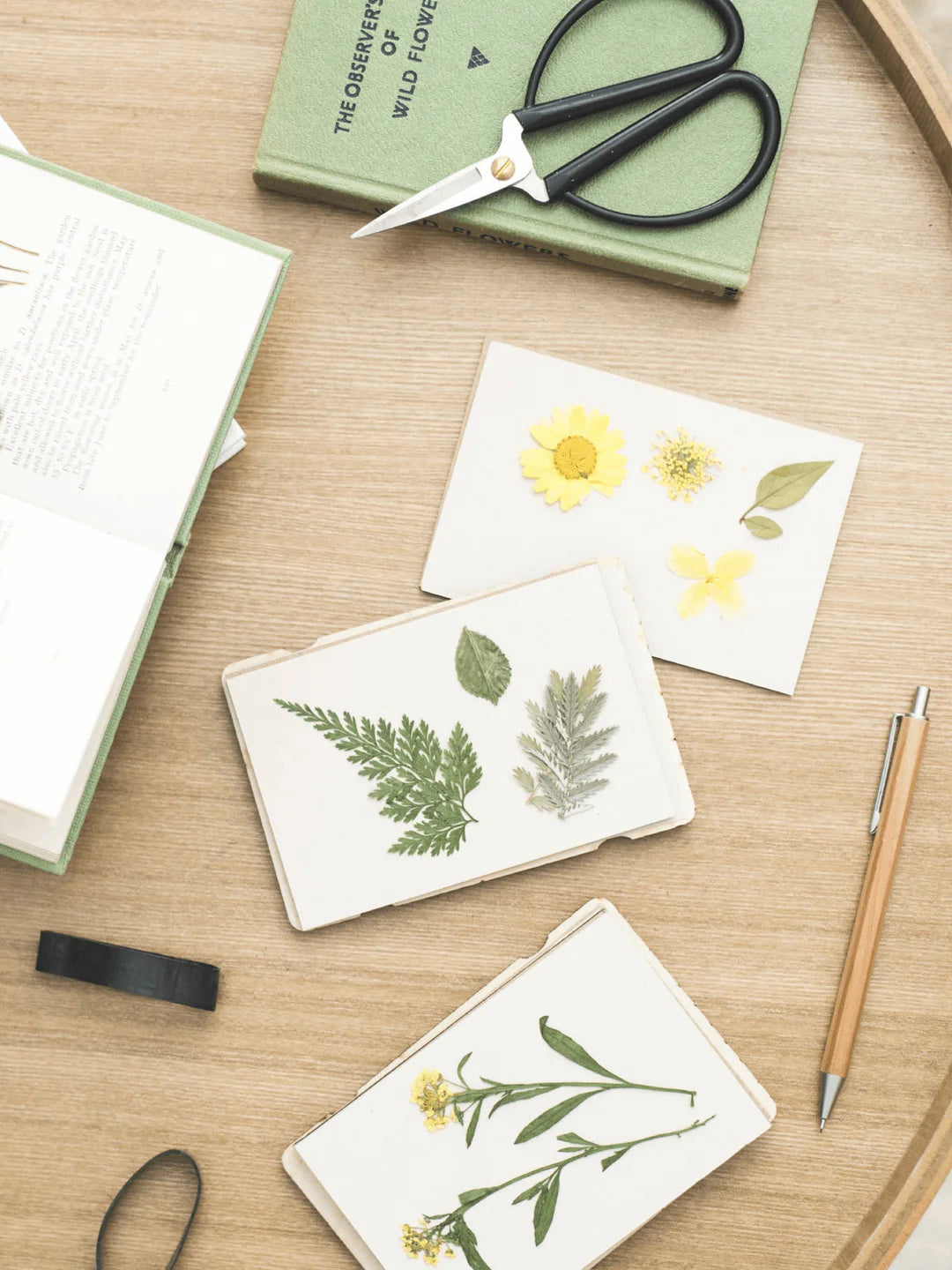 Pocket Flower Press - Forget Me Not - Winter's Moon 