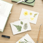 Pocket Flower Press - Forget Me Not - Winter's Moon 