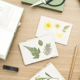 Pocket Flower Press - Forget Me Not - Winter's Moon 
