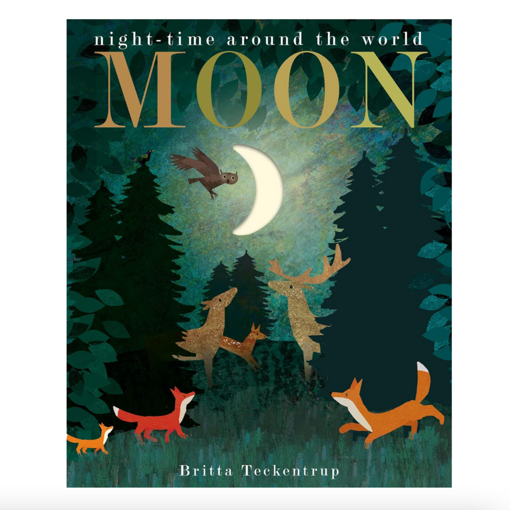 'Moon: Night-Time Around the World' Kids Book