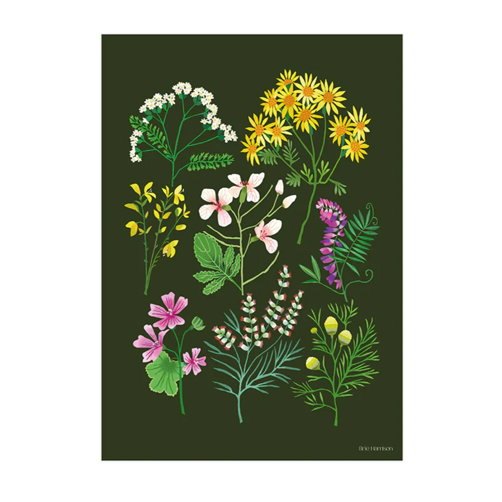 "A Walk at Snape Maltings” print, featuring spring flowers