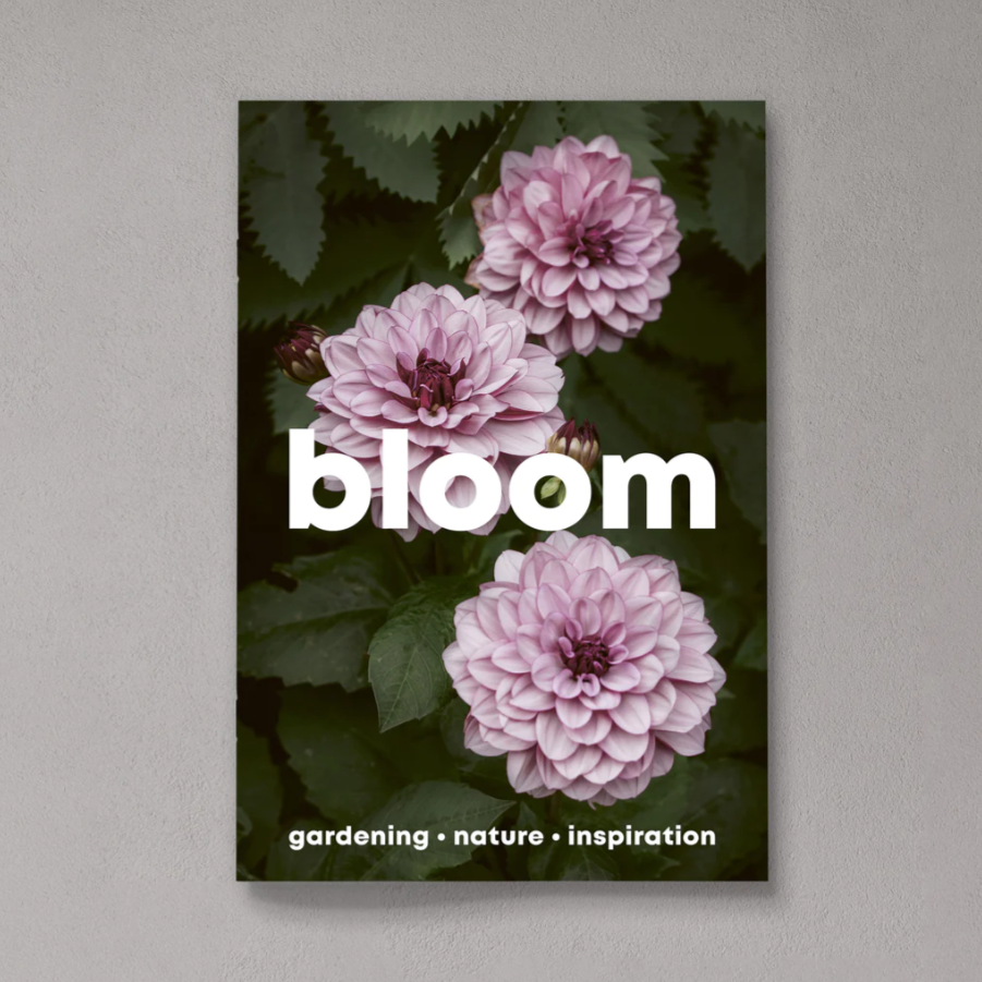 Bloom magazine: Garden, Nature, Inspiration