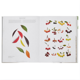 'STILL: The Art of Noticing' Book