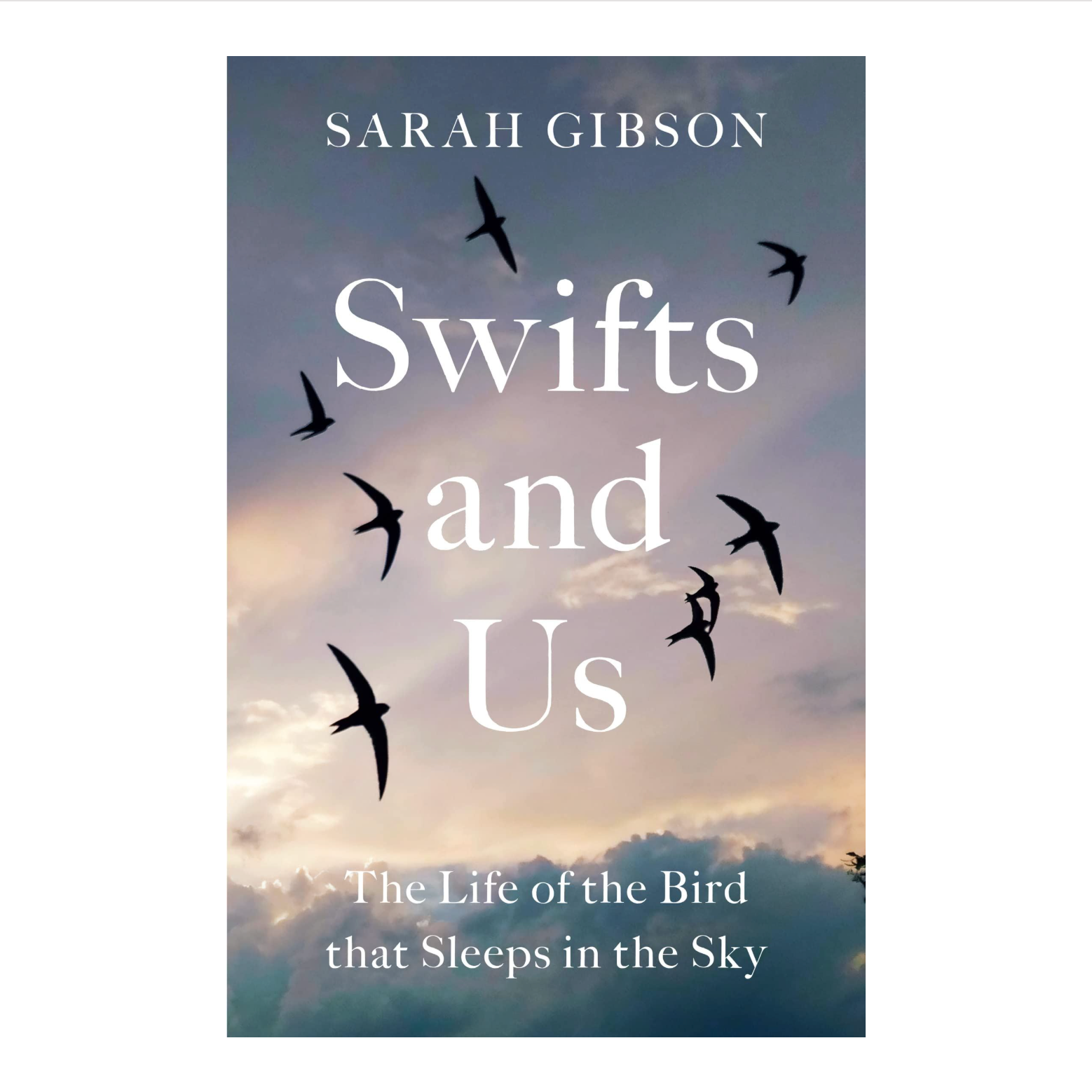 bookspeed - swifts and us by sarah gibson book cover - winter's moon