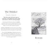'The Tree Zodiac: 13 Trees for 13 Moons' Book