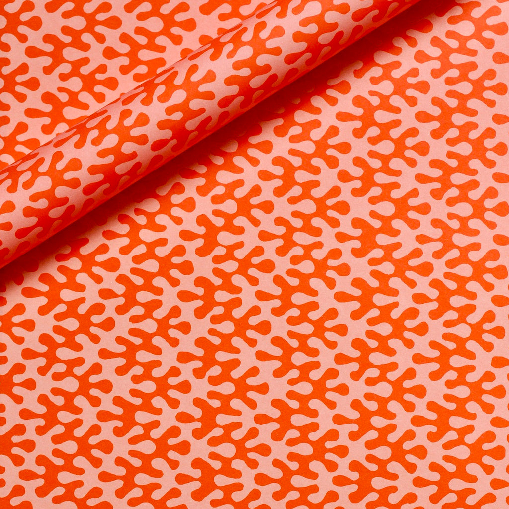 Orange and pale pink kelp print wrapping paper