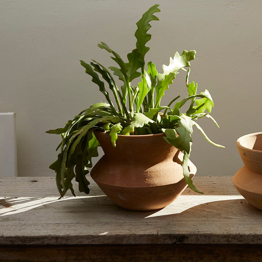 Handmade Terracotta Plant Pot - 'Nilo' by Naman Project | Winter's Moon