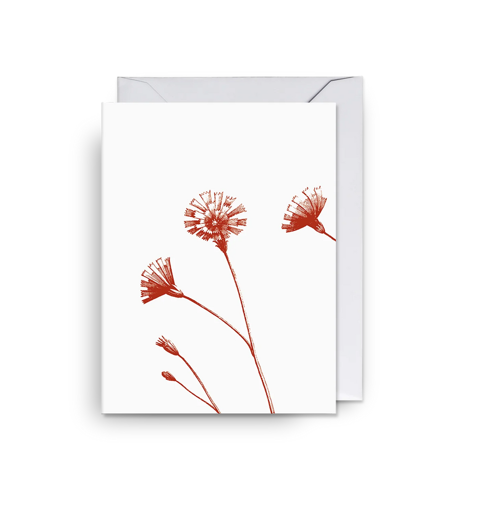 'Winds of Wakehurst' Kew Gardens inspired botanical card with white background & embossed botanical illustration