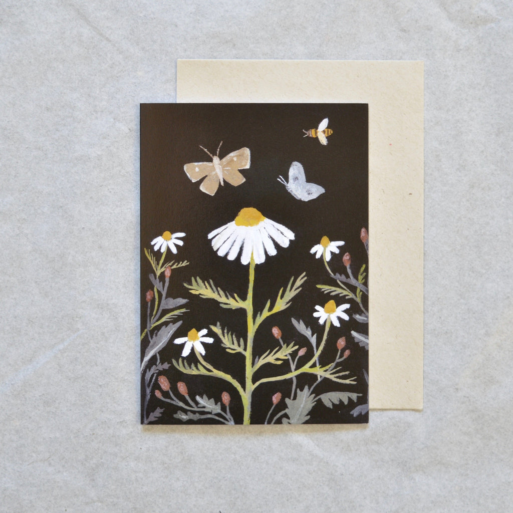 'Chamomile and Sorrel' Greetings Card - Winter's Moon 
