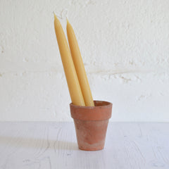 Standard Beeswax Candle (pair) - Winter's Moon 